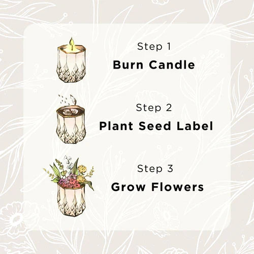 Clara Growing Candle- Spice & Fire by Hyggelight Candle