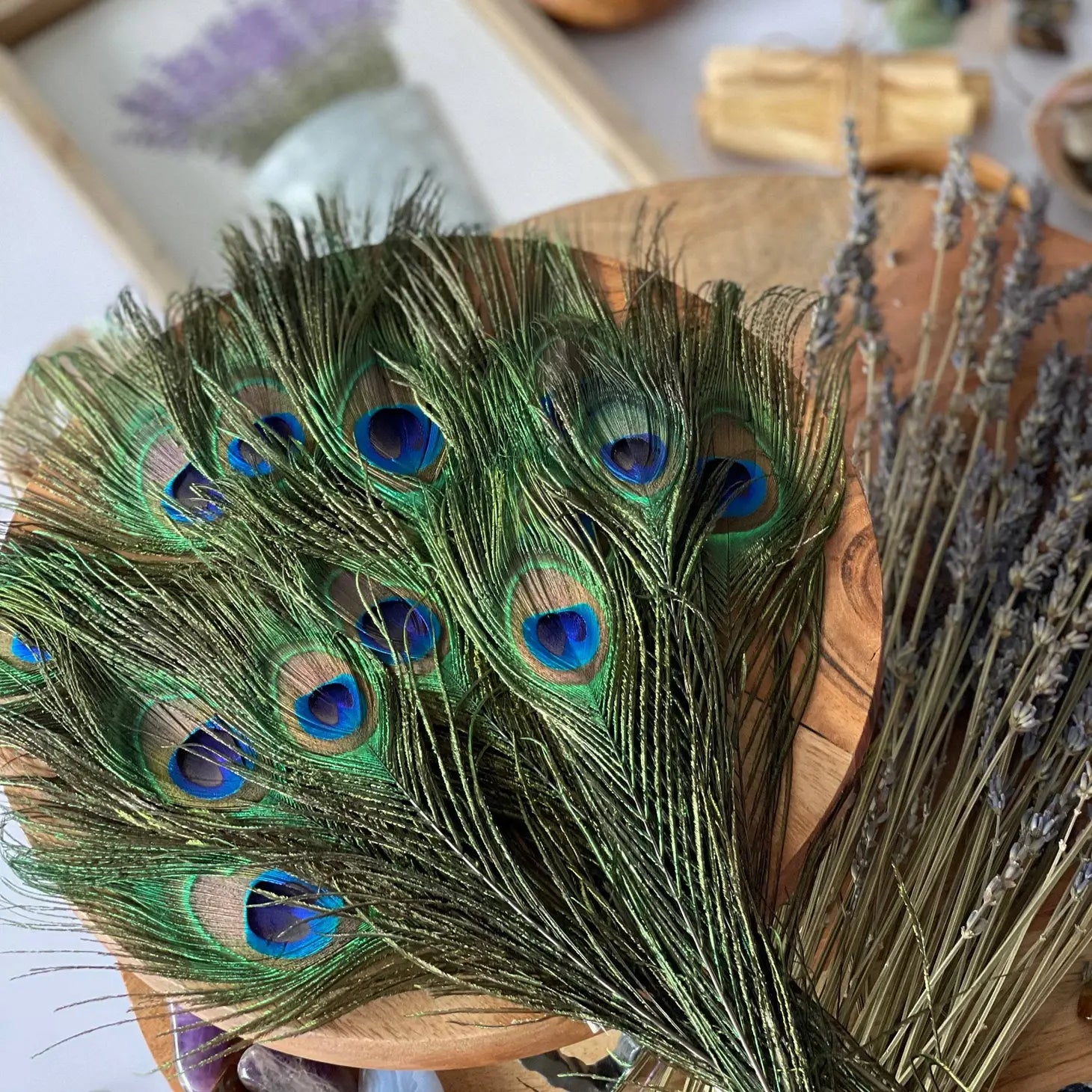 USA Natural Peacock Feathers